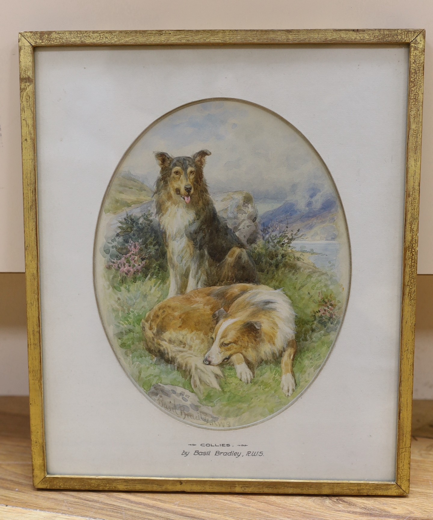 Basil Bradley (1842-1904), watercolour, Collies, signed, 22.5 x 17cm